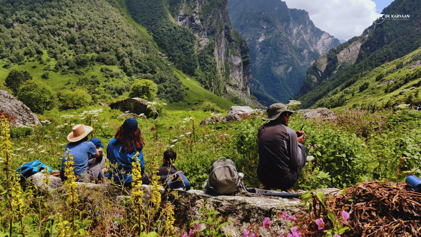 ekkarvaan – Valley of flowers (2)