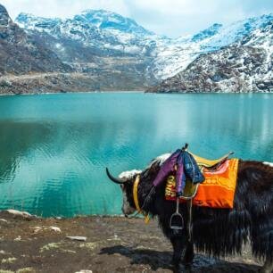 Sikkim