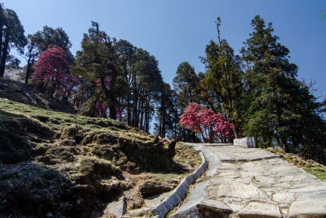 Chopta Tungnath_ekkarvaan (7)