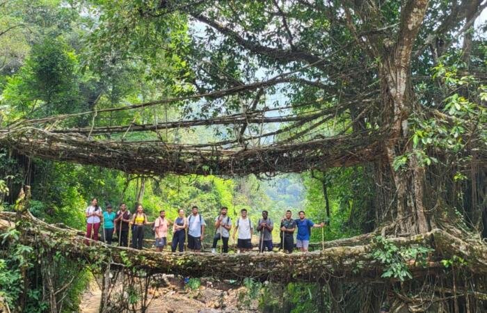 Living_Root Bridge_Meghalaya_ekkarvaan (2)