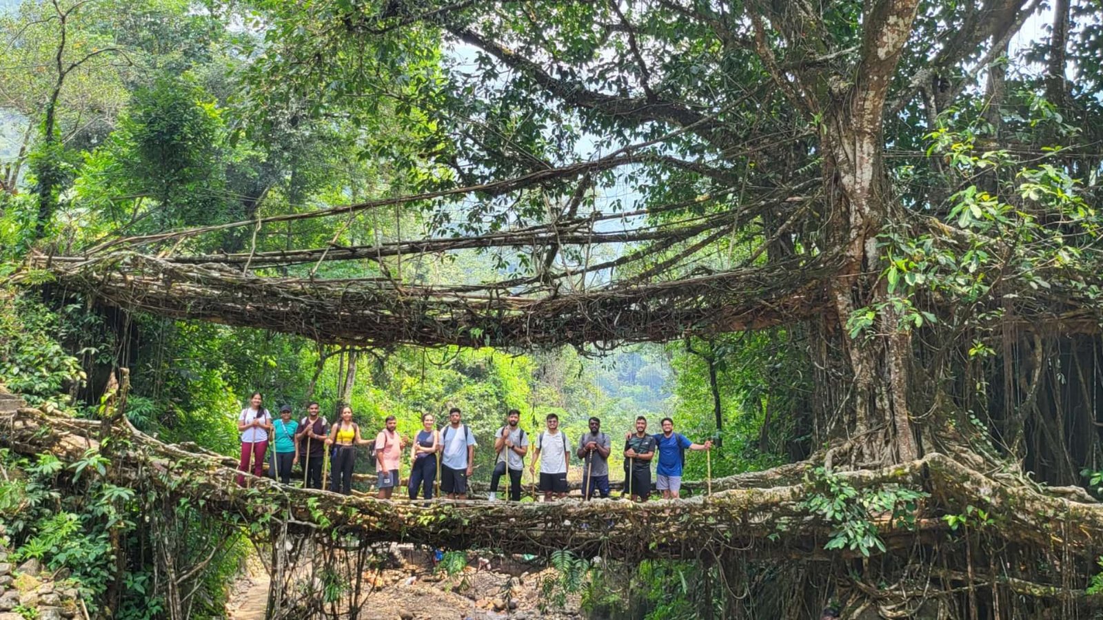 Living_Root Bridge_Meghalaya_ekkarvaan (2)