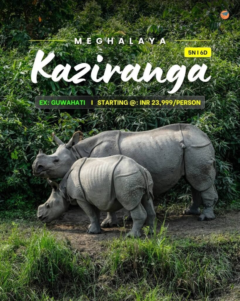 Kaziranga group tour_ekkarvaan